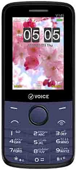 Voice V145