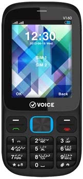 Voice V160