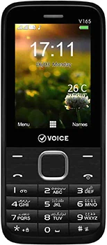 Voice V165