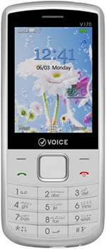 Voice V170