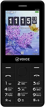 Voice V175
