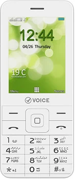Voice V177