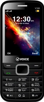 Voice V180