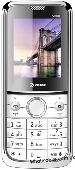 Voice V200