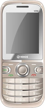 Voice V250