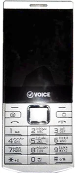 Voice V540