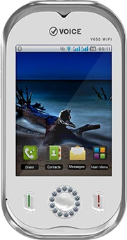 Voice V650