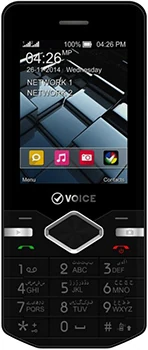 Voice V666